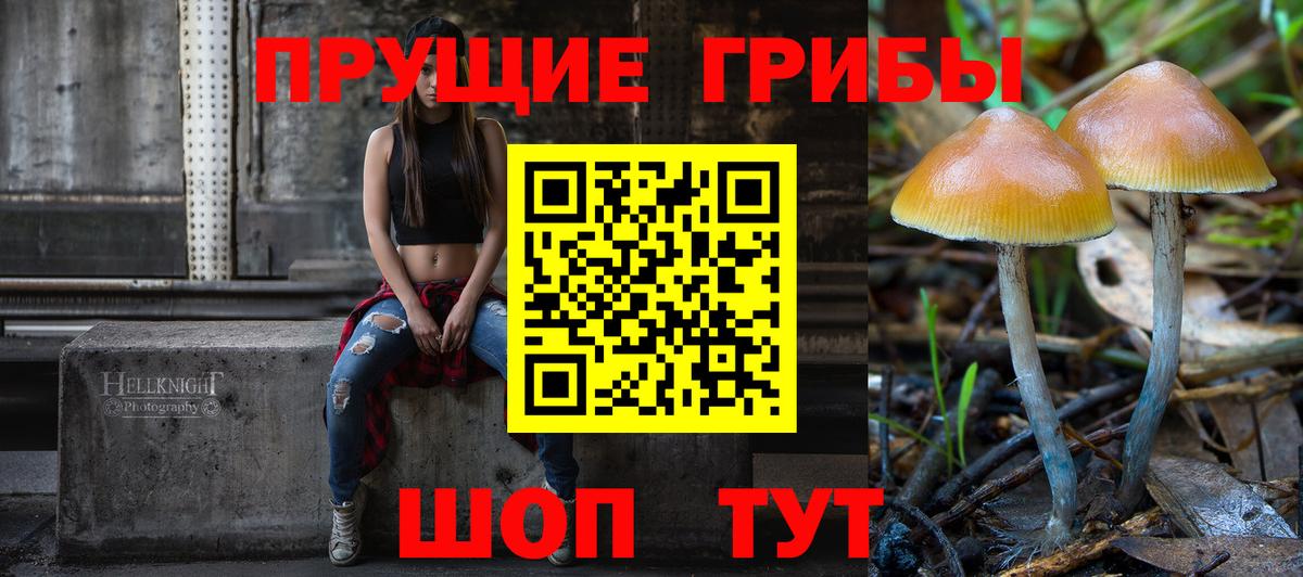 Галлюциногенные грибы Magic Shrooms Элиста
